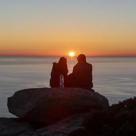 O Tranvia En El Centro De *